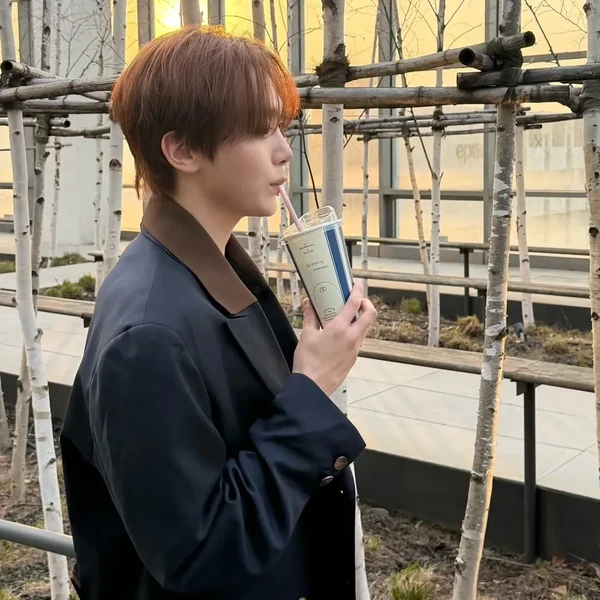 Fans' Pick: Best Moment of Seungkwan (SEVENTEEN)