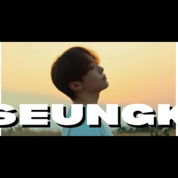 세븐틴 팬심 가득한 인기 사진