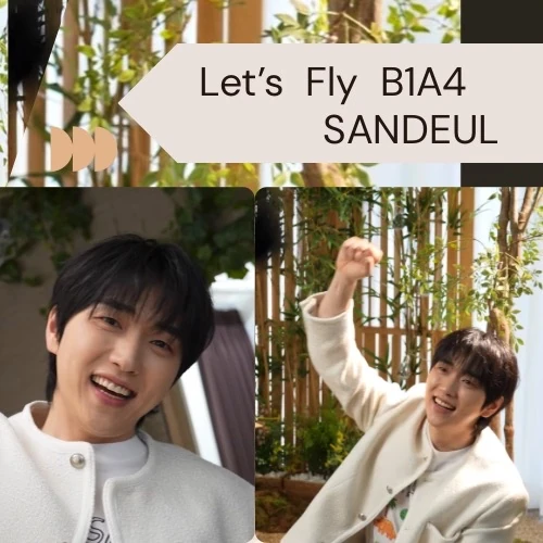 サンドゥル (B1A4)への愛が詰まった人気写真