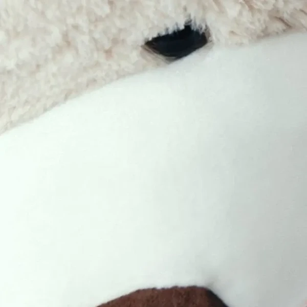 rankingBanner