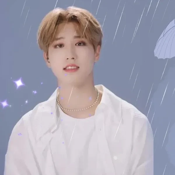 Popular profile picture of ハン (Stray Kids) loved by fans