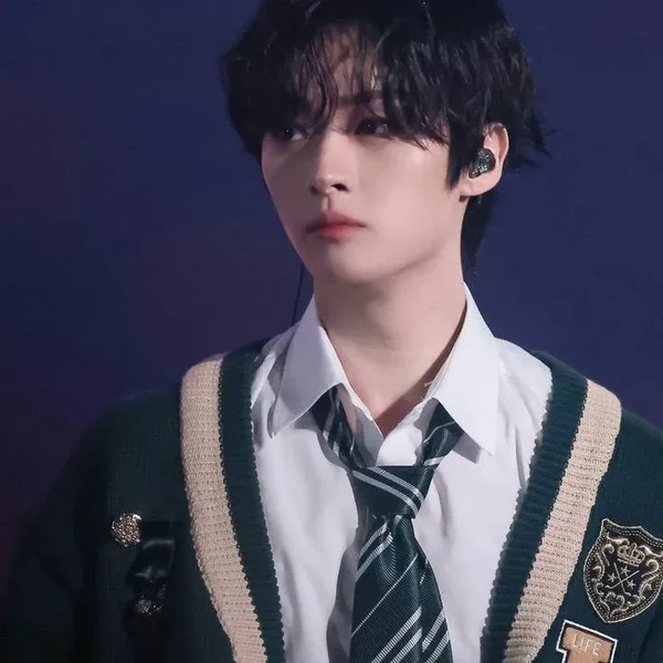 充满粉丝爱意的Lee Know (Stray Kids)人气照片