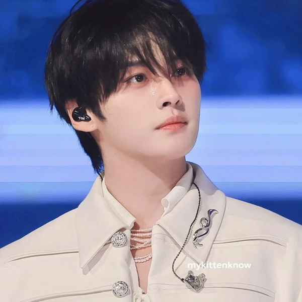 充满粉丝爱意的Lee Know (Stray Kids)人气照片