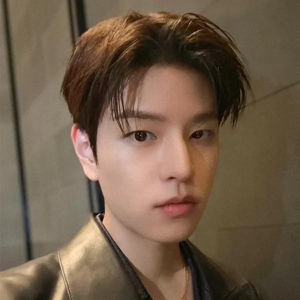 Fans' Pick: Best Moment of Seungmin (Stray Kids)