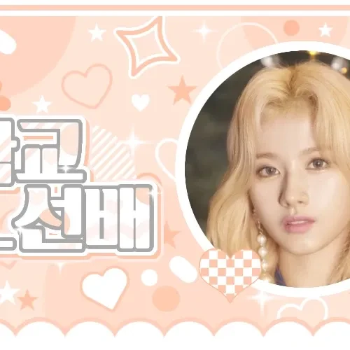오늘 가장 사랑받은 TWICE의 모습