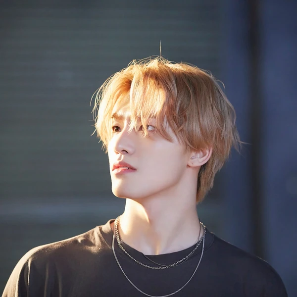 오늘 가장 사랑받은 디노 (세븐틴)의 모습