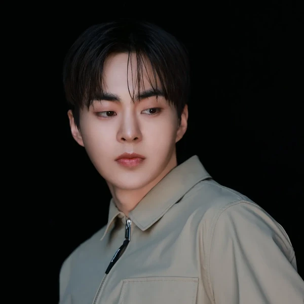 粉絲票選的Xiumin (EXO)最佳瞬間