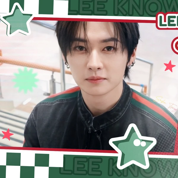 Popular profile picture of Lee Know (Stray Kids) loved by fans
