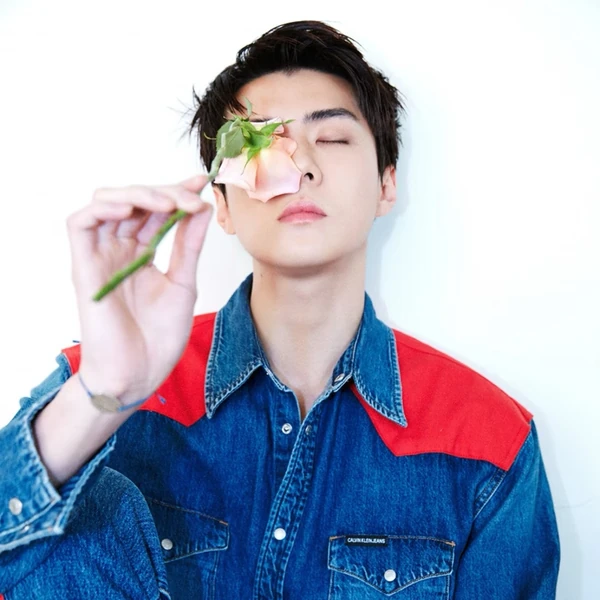 Fans' Pick: Best Moment of Sehun (EXO)