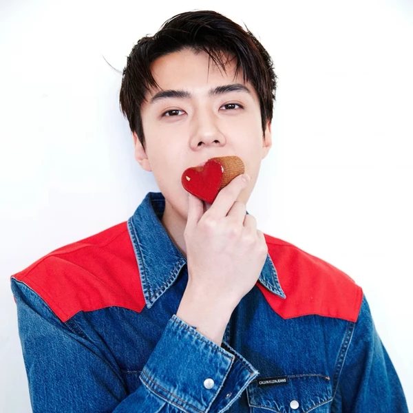 Fans' Pick: Best Moment of Sehun (EXO)