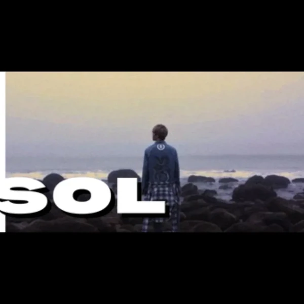 팬들이 뽑은 세븐틴 최고의 순간