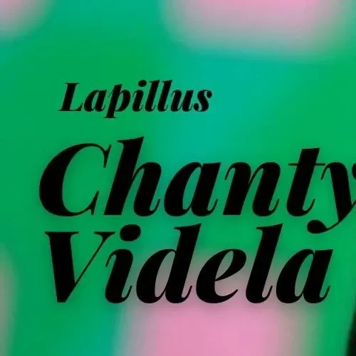 Top Photo Full of Chanty (Lapillus) Love