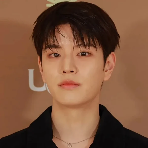 Today's Most Loved Seungmin (Stray Kids)