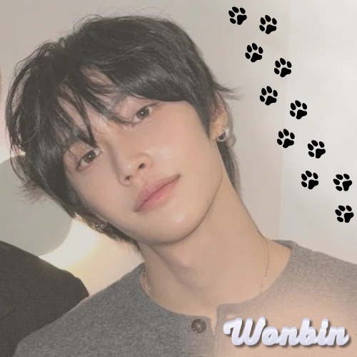 Fans' Pick: Best Moment of Wonbin (RIIZE)