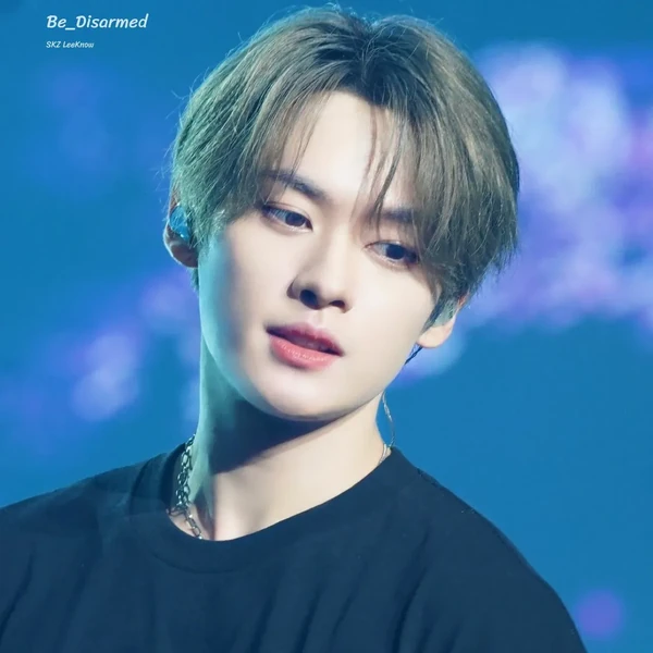 Top Photo Full of Lee Know (Stray Kids) Love
