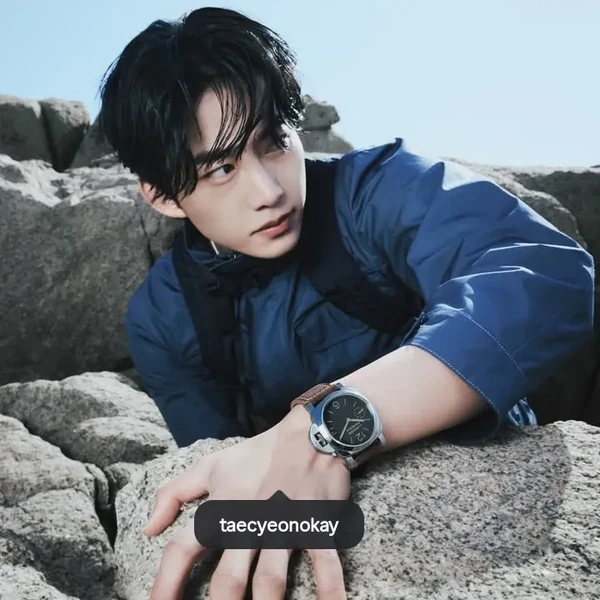 Fans' Pick: Best Moment of Taecyeon (2PM)