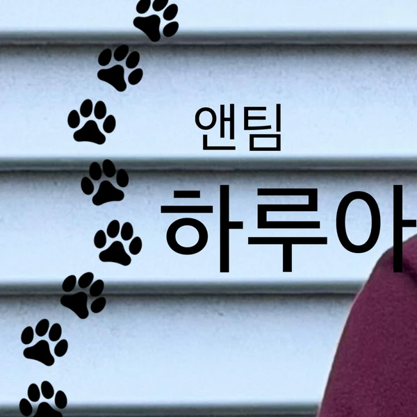 rankingBanner