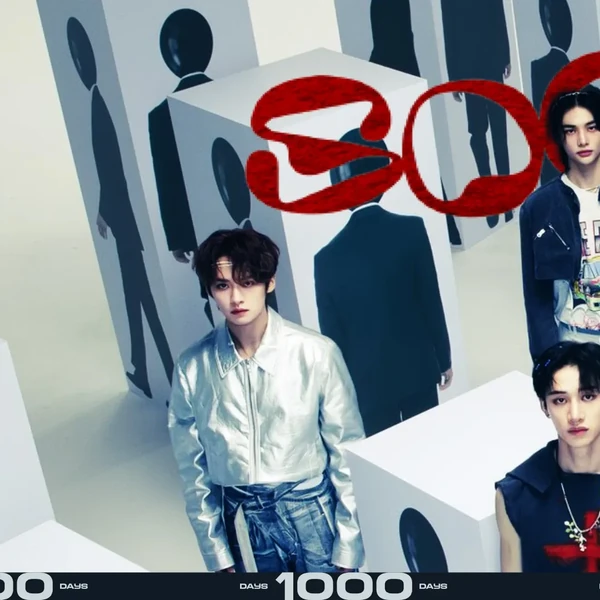 Stray Kids 팬심 가득한 인기 사진