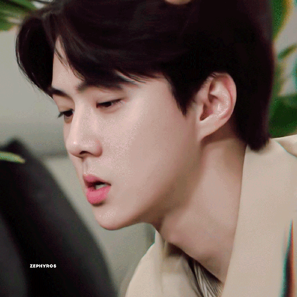 팬들이 뽑은 세훈 (EXO) 최고의 순간