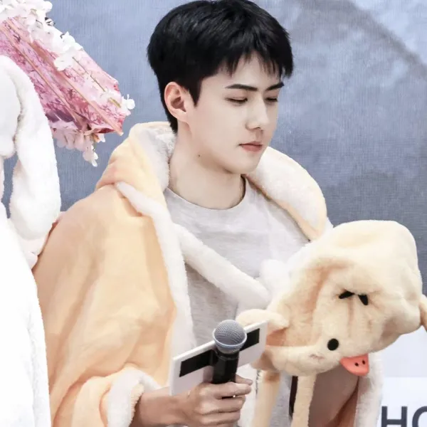EXO セフン まとめ売り EXO セフン グッズ 【公式通販】