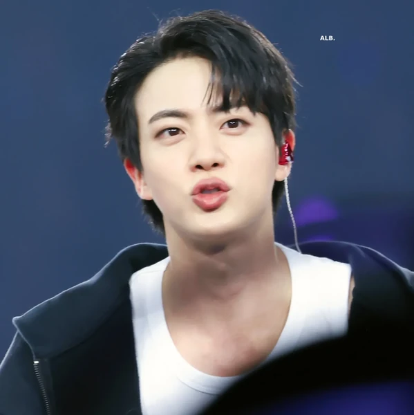 팬들이 뽑은 진 (방탄소년단) 최고의 순간