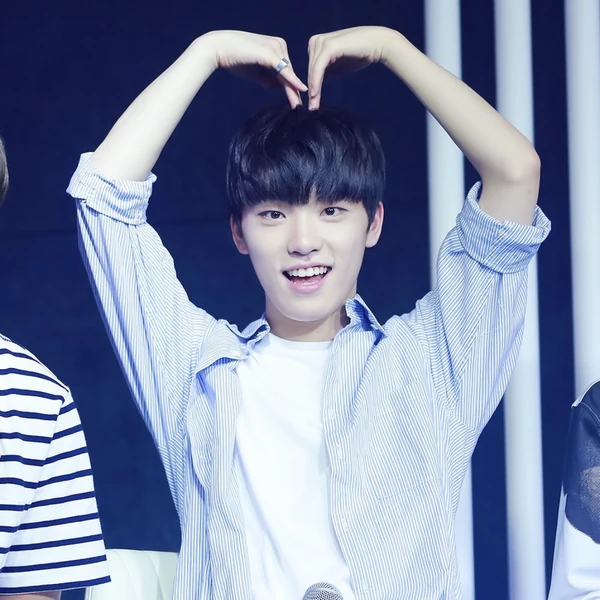 Fans' Pick: Best Moment of Dino (SEVENTEEN)