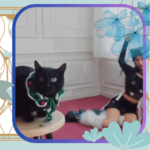 ウォニ (RESCENE)への愛が詰まった人気写真
