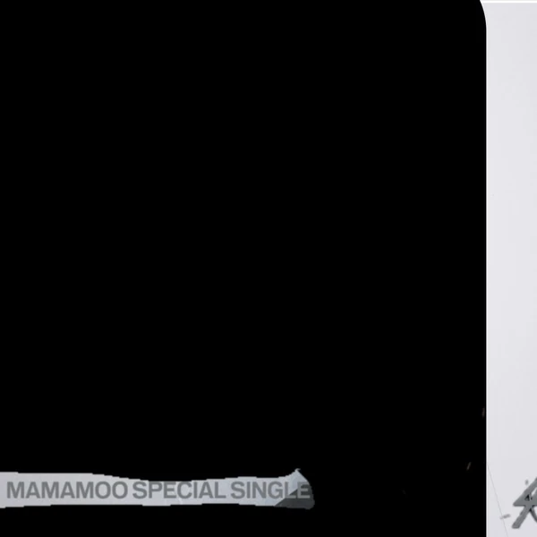 充满粉丝爱意的MAMAMOO人气照片