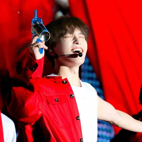 Today's Most Loved Dino (SEVENTEEN)