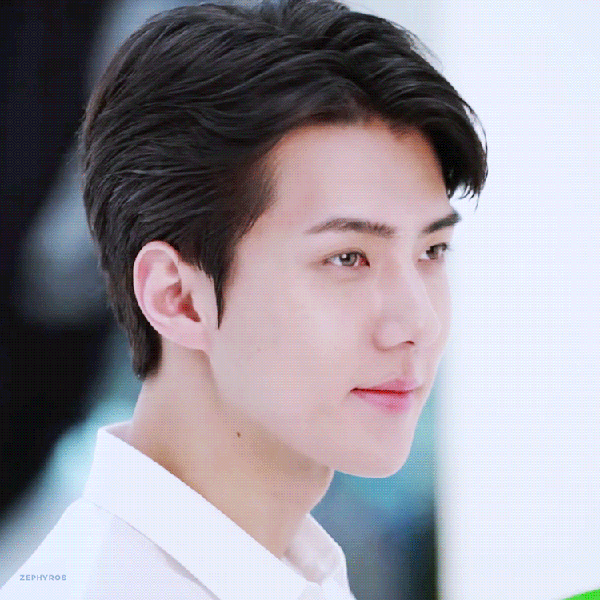 팬들이 뽑은 세훈 (EXO) 최고의 순간