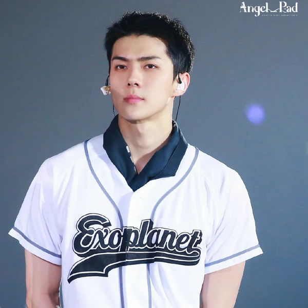 팬들이 뽑은 세훈 (EXO) 최고의 순간