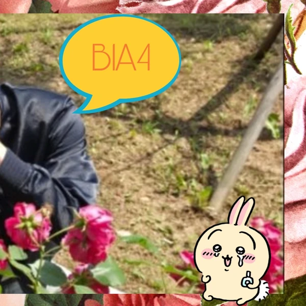 Top Photo Full of B1A4 Love