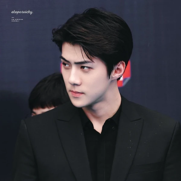 팬들이 뽑은 세훈 (EXO) 최고의 순간