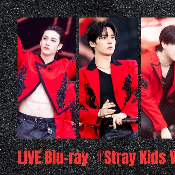Today's Most Loved Stray Kids