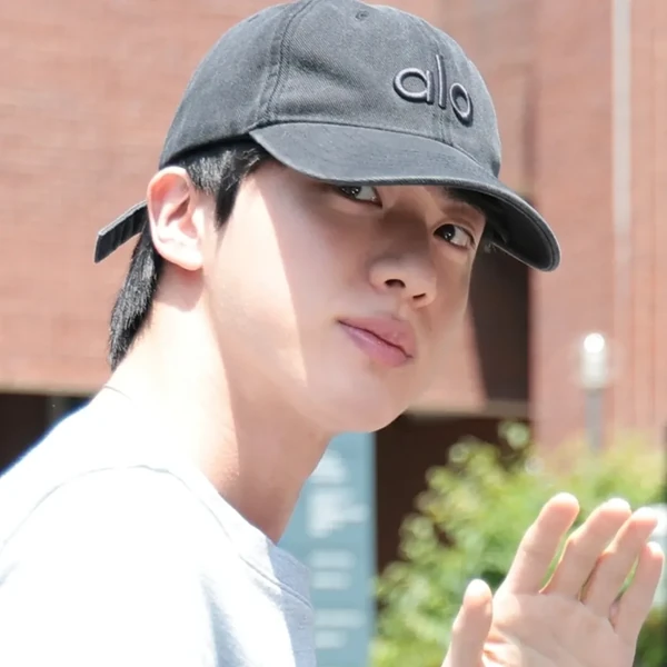 Today's Most Loved Jin (BTS)