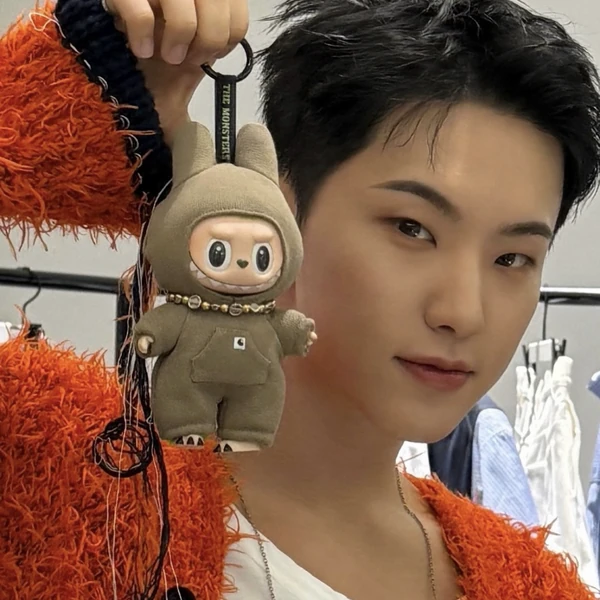 Fans' Pick: Best Moment of Hoshi (SEVENTEEN)