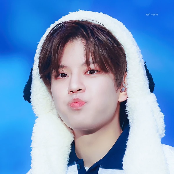 Today's Most Loved Seungmin (Stray Kids)