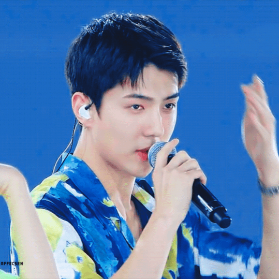 팬들이 뽑은 세훈 (EXO) 최고의 순간