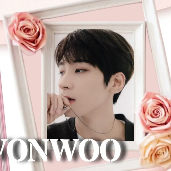 원우 (세븐틴) 팬심 가득한 인기 사진