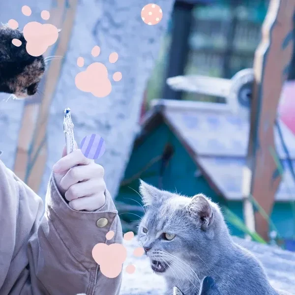 Foto Populer Penuh Cinta untuk Kang Daniel