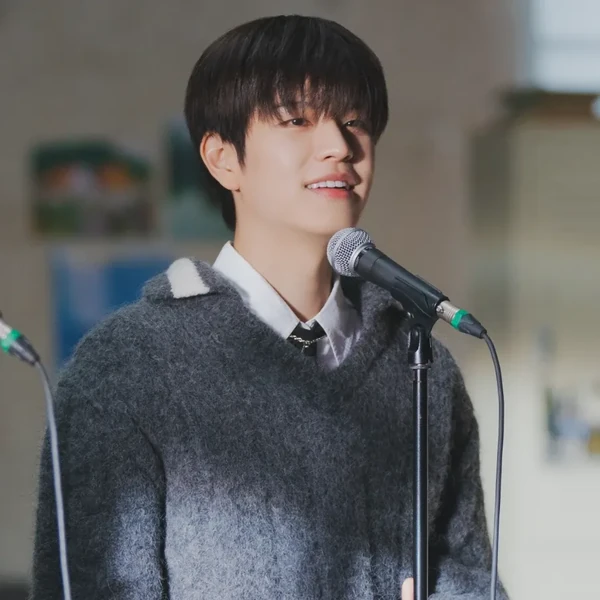 Today's Most Loved Seungmin (Stray Kids)