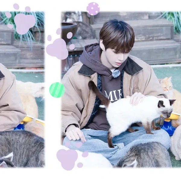 강다니엘 팬심 가득한 인기 사진