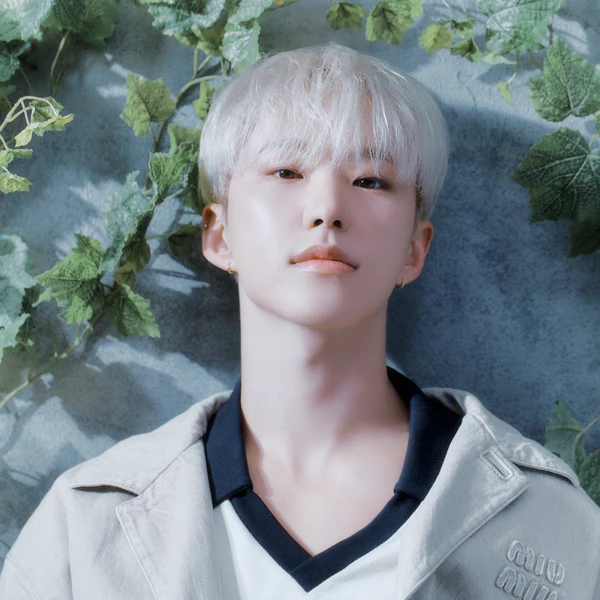 Today's Most Loved Hoshi (SEVENTEEN)