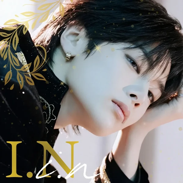 Top Photo Full of I.N (Stray Kids) Love