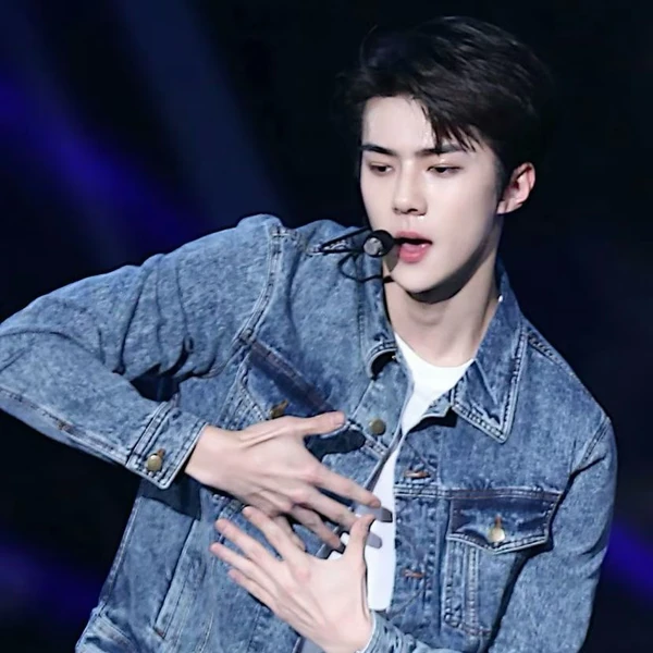 팬들이 뽑은 세훈 (EXO) 최고의 순간