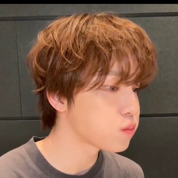 Fans' Pick: Best Moment of Dino (SEVENTEEN)