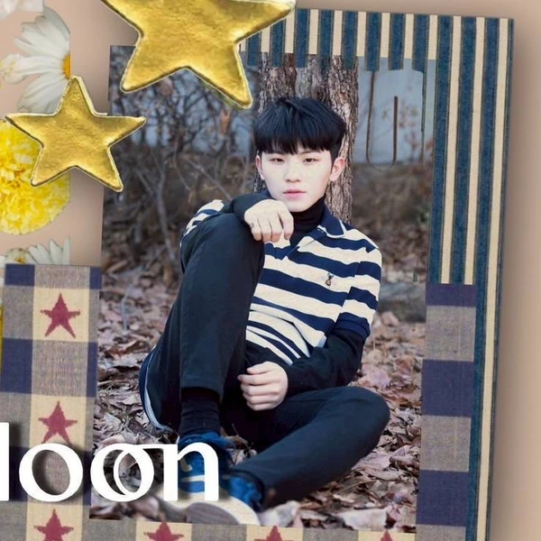 充满粉丝爱意的Woozi (SEVENTEEN)人气照片