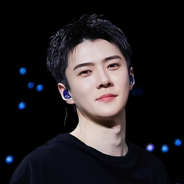 팬들이 뽑은 세훈 (EXO) 최고의 순간