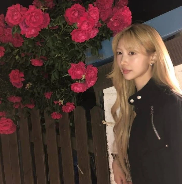 Momen Terbaik DREAMCATCHER Pilihan Penggemar