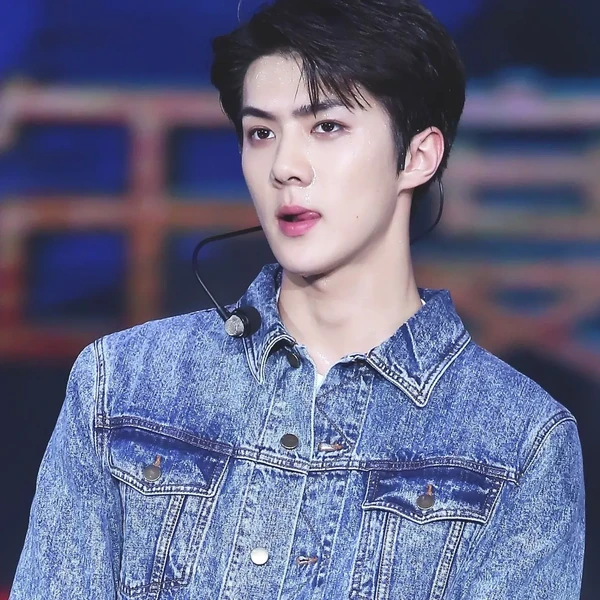 팬들이 뽑은 세훈 (EXO) 최고의 순간